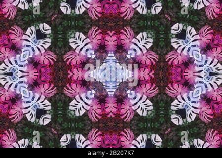 Blurred Symmetry monstera leaves mandala, kaleidoscope and design pattern abstract background Stock Photo