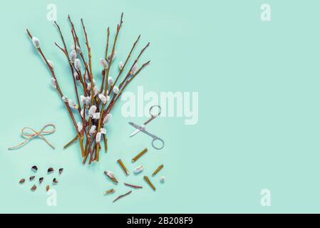 Branches with kidneys, scissors on a light background. Easter spring flat lay concept. Stock Photo