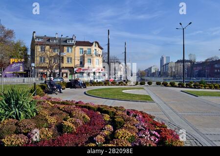 Sofia / Bulgaria - November 2017: Flowers near Lion's bridge in Vladaya river. Stock Photo