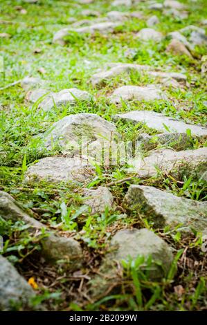 Stones and grass in the mountain. Stock Photo