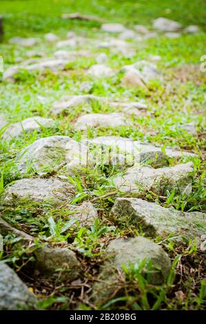 Stones and grass in the mountain. Stock Photo