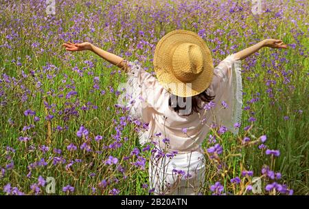 Happy woman raising arms enjoy the sunlight in beautiful purple flower field Stock Photo
