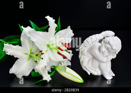 white lily on black background white angel wooden rosary and bible Stock Photo