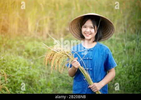 Asian girl farmer harvesting rice in rice fields. Agriculture Concept Stock Photo
