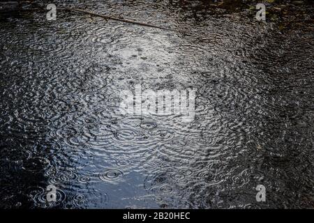 raindrops on water Stock Photo
