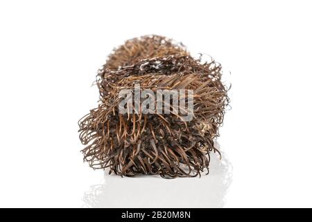 Lot of whole old brown rambutan isolated on white background Stock Photo