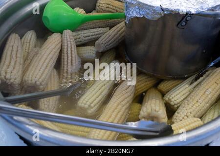 cooked cobs corn on display stand Stock Photo