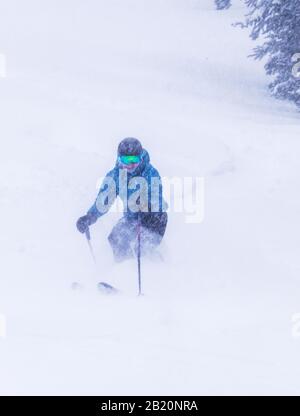 Female skier in fresh powder at Monarch Mountain ski & snowboard resort on the Continental Divide in Colorado, USA Stock Photo
