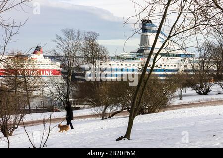 Helsinki, Finland. Large cruise ships at the Helsinki Ferry Port Terminal Stock Photo