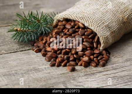 Pine nuts in a bag of burlap on an old vintage background with a fir green branch. In country style. Delicious and healthy seeds, rich in protein and Stock Photo