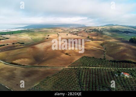Aerial image photo agricultural fields in Sevilla. Andalusia, Spain