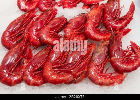 Stock photo of a close-up of a pile of red prawns on an ice base at a market stall Stock Photo