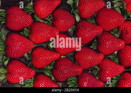 Stock photo of a zenith plane of several fresh strawberries inside a box creating a natural pattern Stock Photo