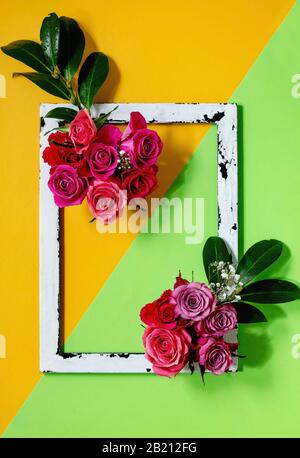 Creative layout roses flowers Stock Photo