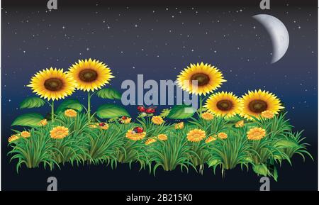 sunflower in night, moon light in a garden Stock Vector