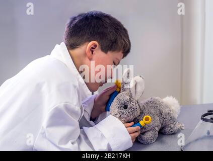 A young boy pretends to play doctor with his bunny rabbit patient Stock Photo