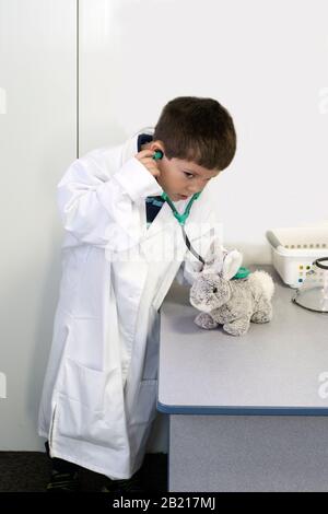 A young animal doctor listens to his bunny rabbit patient in his Veterinarian office Stock Photo