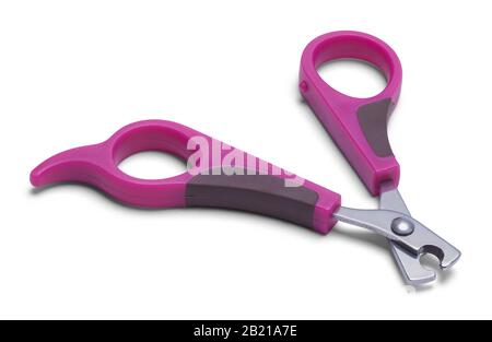 Dog Nail Clippers Isolated on White Background. Stock Photo