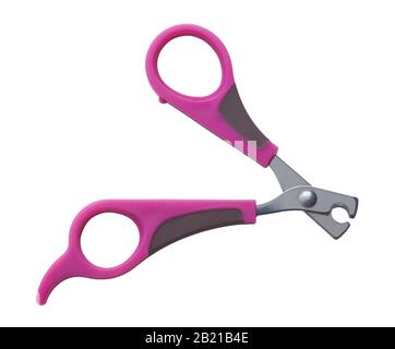Pet Nail Clippers Isolated on White Background. Stock Photo