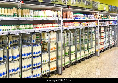 Supply chain milk products from British cows in Tesco shopping supermarket aisle packaging in translucent plastic carton bottles London England UK Stock Photo