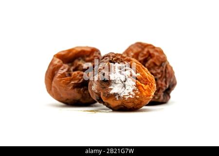 Dying plum fruit isolated on white background - Unhealthy food for people health - Food that left for a long time Stock Photo