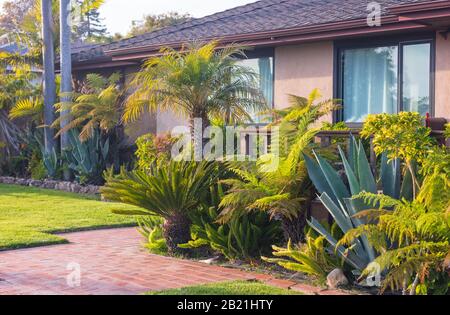 Beautiful California home exterior with a custom landscaped garden and yard with a variety of planting. Taken from a public space in February 2020. Stock Photo