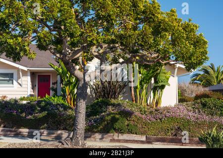 Beautiful California home exterior with a custom landscaped garden and yard with a variety of planting. Taken from a public space in February 2020. Stock Photo