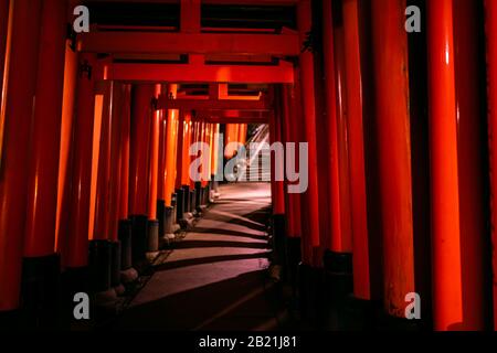 Kyoto, Japan colorful orange red Fushimi Inari shrine torii gates in park at night with illumination lanterns by path Stock Photo