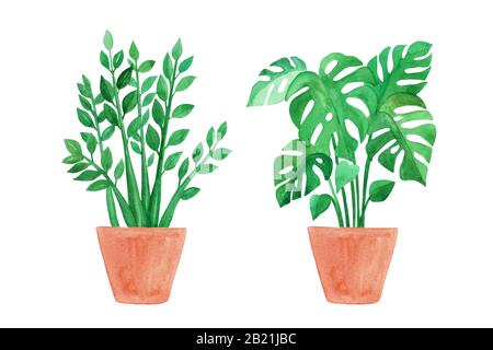 Watercolor hand painted house green plants in flower pots. Urban tropical jungle. Set of floral elements isolated on white. Monstera and Zalmioculcas. Stock Photo