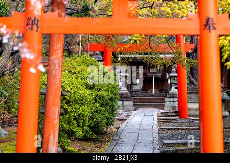 Kyoto, Japan in spring garden park and red Takenaka Inari Jinja Shrine torii gates path to temple entrance Stock Photo