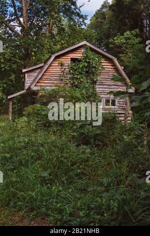 An abandoned house with an outhouse has been abandoned and is becoming overrun with weeds and bushes in the rural south. Stock Photo