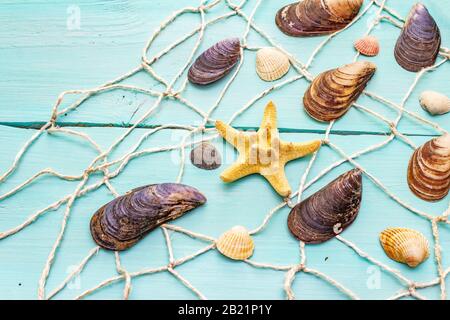 Seashells summer background. Lots of different seashells piled together, mussels, starfish, fishnet (seine) on turquoise wooden boards background, cop Stock Photo