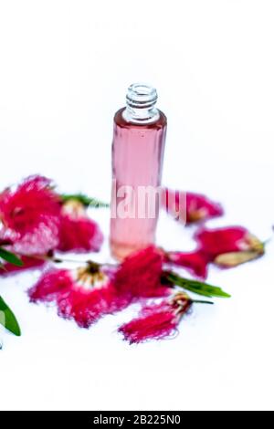 Red or pink colored flowers isolated on white along with their essential oil in a transparent glass bottle along with them. Stock Photo