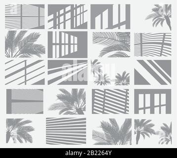 Set of Transparent Shadow Overlay Effects. Window Frames, Palm Tree and Blind. Vector Illustration. Stock Vector