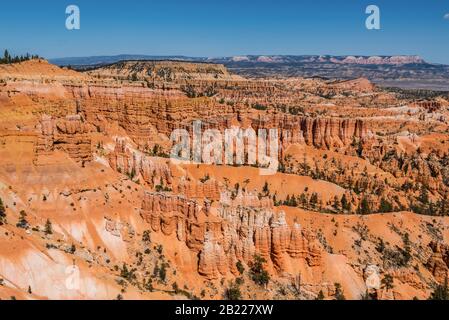 Magnificent view of crimson-colored hoodoos at Bryce Canyon National Park Utah United States. Stock Photo