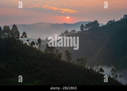 Sunrise in Bwindi Impenetrable Forest National Park, Uganda. Landscape at Dawn with Fog or Mist and Rainforest. Stock Photo