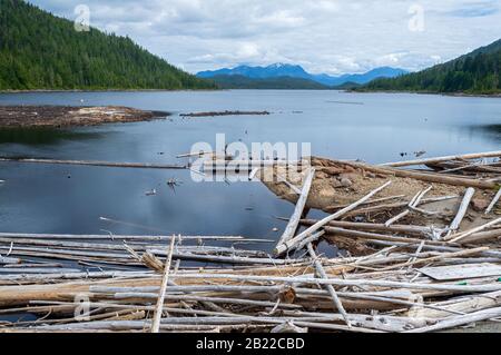 Driftwood on the lake in Diana Lake Provincial Park, British Columbia, Canada Stock Photo