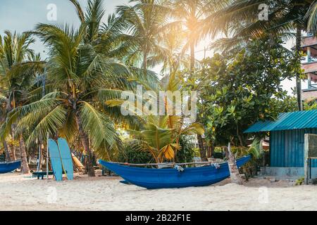 Surfboards set vertically with their elbows resting on a wooden stand in the sand at a surf station in Sri Lanka Hikkaduwa, and traditional fishing bo Stock Photo