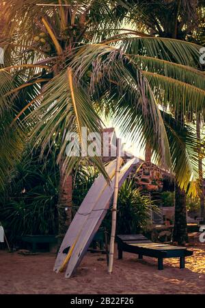 Surfboards set vertically with their elbows resting on a wooden stand in the sand at a surf station in Sri Lanka Hikkaduwa Stock Photo