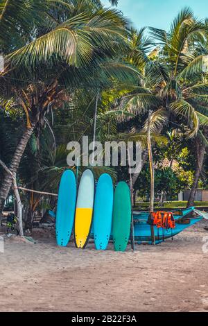 Surfboards set vertically with their elbows resting on a wooden stand in the sand at a surf station in Sri Lanka Hikkaduwa, and traditional fishing bo Stock Photo