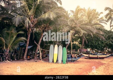 Surfboards set vertically with their elbows resting on a wooden stand in the sand at a surf station in Sri Lanka Hikkaduwa, and traditional fishing bo Stock Photo