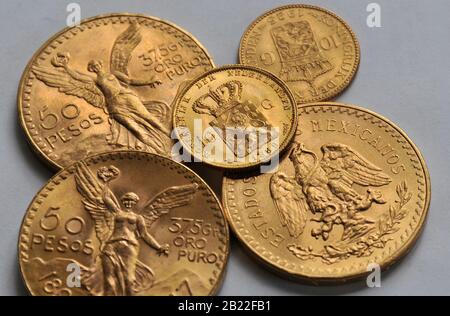 golden coins, 50 pesos mexicans and 10 florins Stock Photo