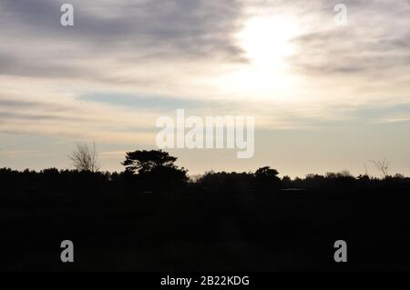 In der wunderschönen Dünenheide im Nationalpark Hiddensee zwischen Vitte und neuendorf kann man wunderbar entspannen. Stock Photo