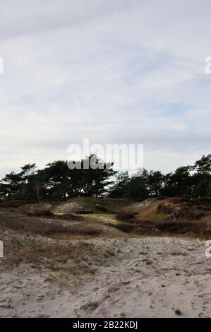 In der wunderschönen Dünenheide im Nationalpark Hiddensee zwischen Vitte und neuendorf kann man wunderbar entspannen. Stock Photo