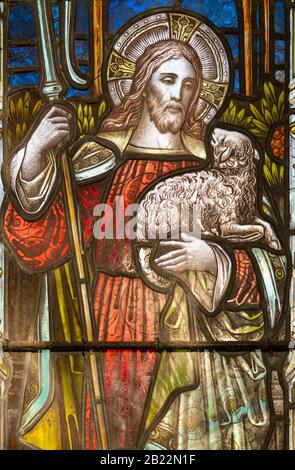 Stained glass window of Jesus Christ the Good Shepherd, Christian Malford church, Wiltshire, England, UK c 1884 by A. Savell Stock Photo