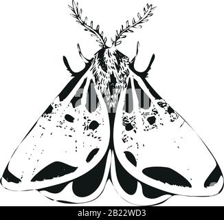 Vector mystic vintage black ink moth, butterfly Stock Vector
