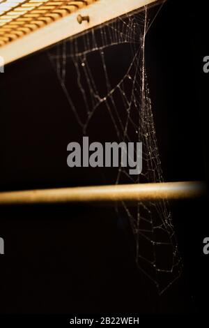 A spider web on metal railings awaits the built-in light Stock Photo ...