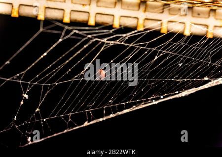 A spider web on metal railings awaits the built-in light Stock Photo