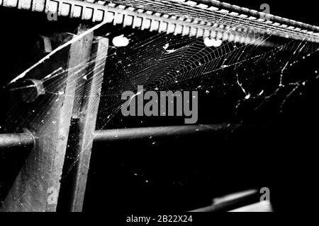 A spider web on metal railings awaits the built-in light black and white Stock Photo
