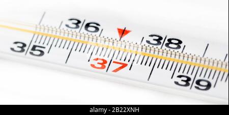 Mercury in glass thermometer scale macro, object closeup, centered on red 37 celsius. Measuring temperature, old device, non-electronic classic Stock Photo